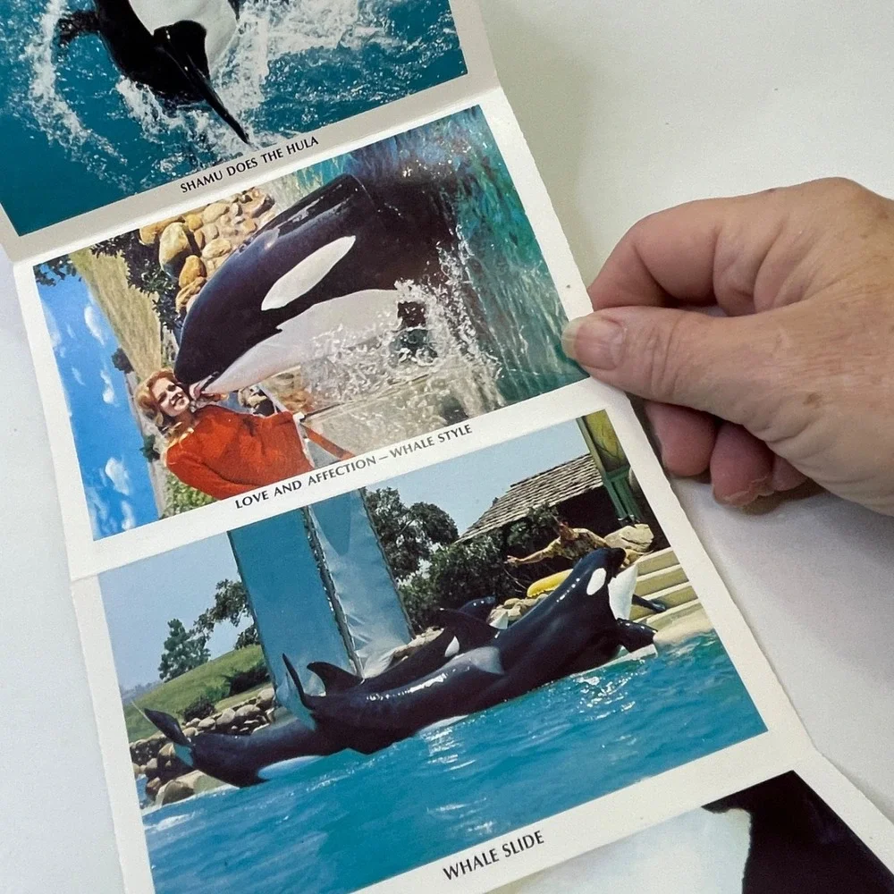 Shamu Whale Sea World Foldout Postcard Photo Booklet Vintage 1970s‎ San Diego CA